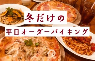 バイキング - コピー